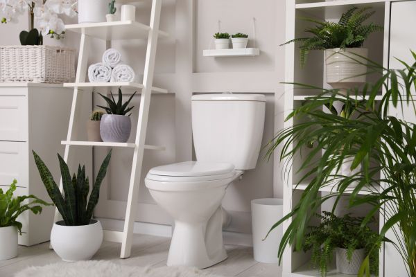 Cost of Toilet Repair in Cherry Hill